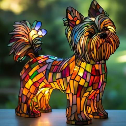 Stella - Cane Terrier Affettuoso